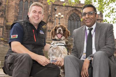 Scamp, a hard working springer spaniel has been named the Institute’s Hero in the Chartered Trading Standards Institute (CTSI) Hero Awards 2019, nominated by City of Wolverhampton Council