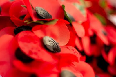 Remembrance Sunday plans announced for Wolverhampton