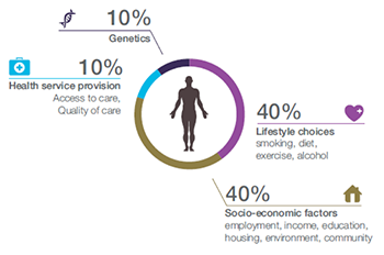 Factors that influence our health and wellbeing.