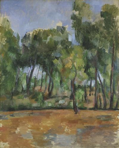 Provencal Landscape, Cézanne, Paul (1839-1905) © NATIONAL MUSEUM OF WALES