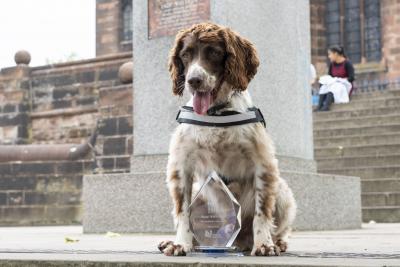 City Council paws to celebrate trading standards hero