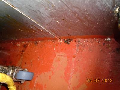 Johnny Spice, located at 46 Queen Street, had been trading under unhygienic conditions with evidence of mouse activity and poor levels of cleaning throughout the premises