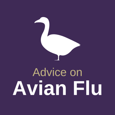 The Department for the Environment, Food and Rural Affairs (Defra) and the Animal and Plant Health Agency (APHA) has now confirmed there is avian influenza A(H5N1) in wild bird populations in Wolverhampton